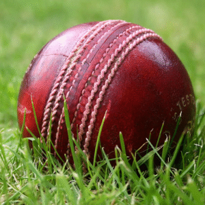 Cricket Balls